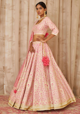 Shyam Narayan Prasad-Pink Embroidered Lehenga Set-INDIASPOPUP.COM