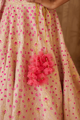 Shyam Narayan Prasad-Pink Embroidered Lehenga Set-INDIASPOPUP.COM