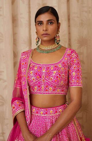 Shyam Narayan Prasad-Pink Embroidered Lehenga Set-INDIASPOPUP.COM