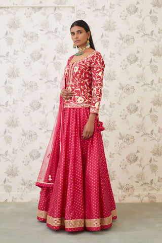 Shyam Narayan Prasad-Pink Embroidered Brocade Lehenga Set-INDIASPOPUP.COM