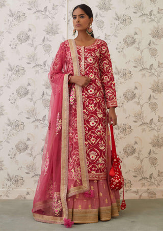 Shyam Narayan Prasad-Pink Embroidered Kurta Skirt Set-INDIASPOPUP.COM