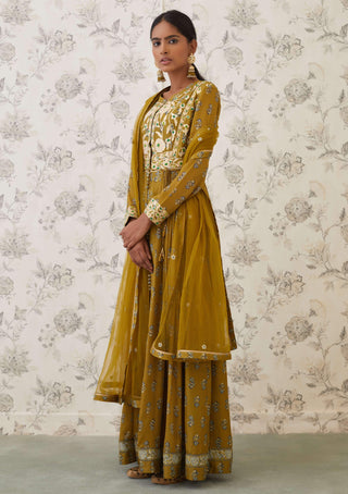 Shyam Narayan Prasad-Green Embroidered Anarkali Set-INDIASPOPUP.COM