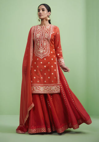 Shyam Narayan Prasad-Orange Embroidered Sharara Set-INDIASPOPUP.COM