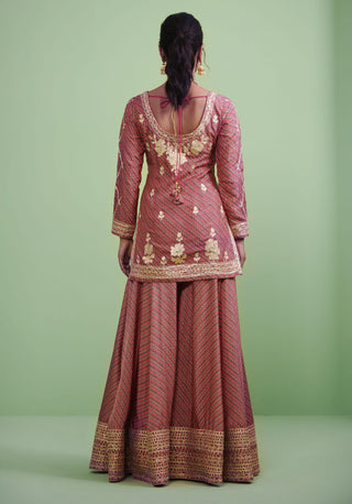 Shyam Narayan Prasad-Pink Embroidered Sharara Set-INDIASPOPUP.COM