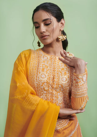 Shyam Narayan Prasad-Orange Embroidered Lehenga Set-INDIASPOPUP.COM