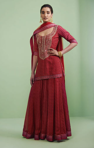 Shyam Narayan Prasad-Maroon Embroidered Lehenga Set-INDIASPOPUP.COM