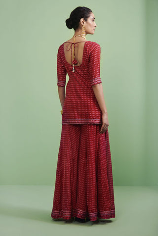Shyam Narayan Prasad-Maroon Embroidered Lehenga Set-INDIASPOPUP.COM