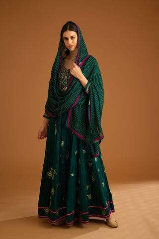 Shyam Narayan Prasad-Green Zardozi Embroidered Anarkali Set-INDIASPOPUP.COM