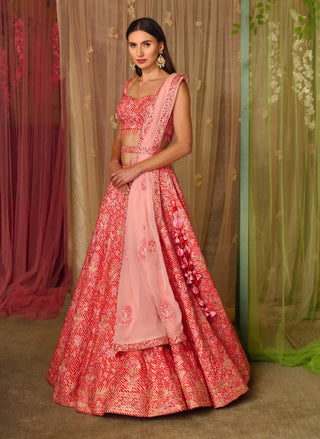 Shyam Narayan Prasad-Bright Pink Gota Embroidered Lehenga Set-INDIASPOPUP.COM