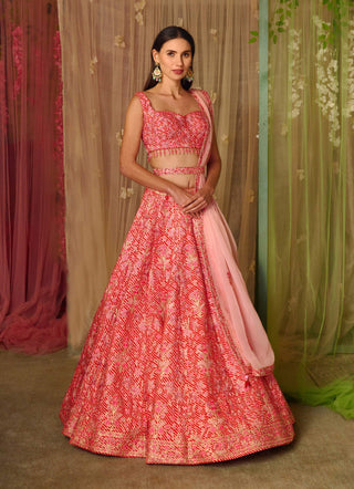 Shyam Narayan Prasad-Bright Pink Gota Embroidered Lehenga Set-INDIASPOPUP.COM