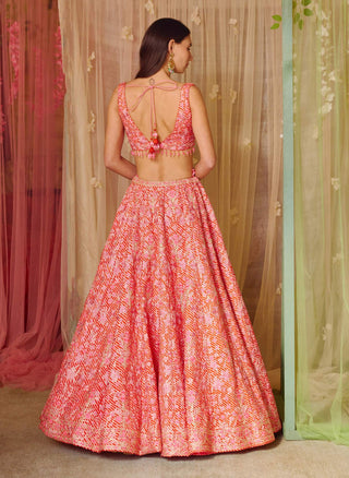 Shyam Narayan Prasad-Bright Pink Gota Embroidered Lehenga Set-INDIASPOPUP.COM