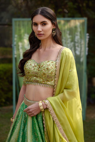 Shyam Narayan Prasad-Green Zardozi Embroidered Lehenga Set-INDIASPOPUP.COM