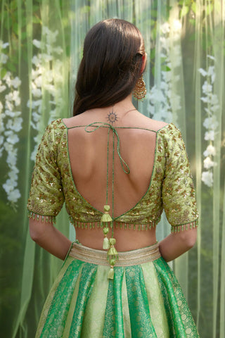 Shyam Narayan Prasad-Green Zardozi Embroidered Lehenga Set-INDIASPOPUP.COM