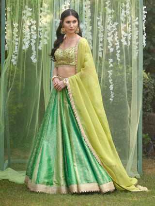 Shyam Narayan Prasad-Green Zardozi Embroidered Lehenga Set-INDIASPOPUP.COM