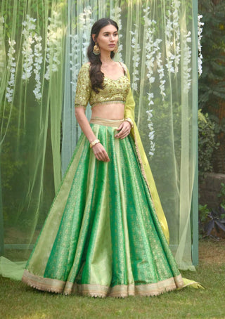 Shyam Narayan Prasad-Green Zardozi Embroidered Lehenga Set-INDIASPOPUP.COM