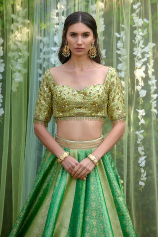 Shyam Narayan Prasad-Green Zardozi Embroidered Lehenga Set-INDIASPOPUP.COM