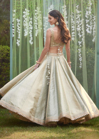 Shyam Narayan Prasad-Smoke Grey Blue Embroidered Lehenga Set-INDIASPOPUP.COM