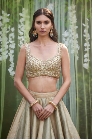 Shyam Narayan Prasad-Smoke Grey Blue Embroidered Lehenga Set-INDIASPOPUP.COM