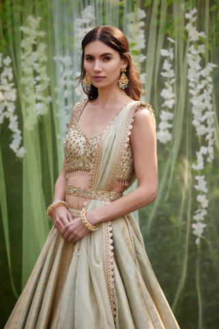 Shyam Narayan Prasad-Smoke Grey Blue Embroidered Lehenga Set-INDIASPOPUP.COM