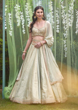 Shyam Narayan Prasad-Smoke Grey Blue Embroidered Lehenga Set-INDIASPOPUP.COM