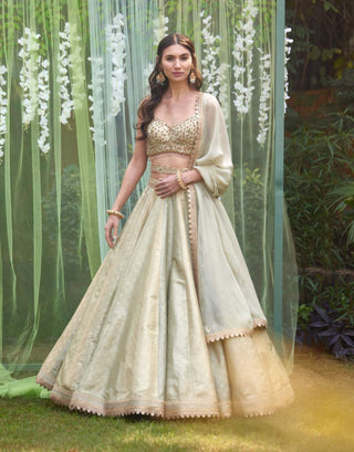 Shyam Narayan Prasad-Smoke Grey Blue Embroidered Lehenga Set-INDIASPOPUP.COM
