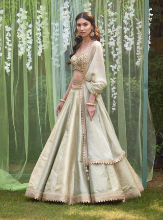 Shyam Narayan Prasad-Smoke Grey Blue Embroidered Lehenga Set-INDIASPOPUP.COM