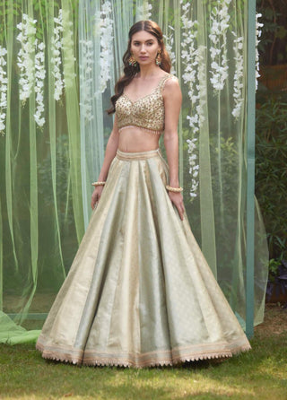 Shyam Narayan Prasad-Smoke Grey Blue Embroidered Lehenga Set-INDIASPOPUP.COM