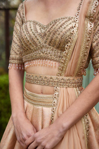 Shyam Narayan Prasad-Old Rose Pink Embroidered Lehenga Set-INDIASPOPUP.COM
