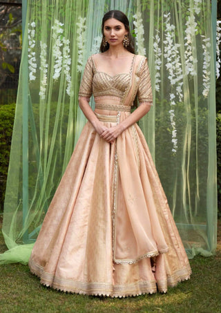 Shyam Narayan Prasad-Old Rose Pink Embroidered Lehenga Set-INDIASPOPUP.COM
