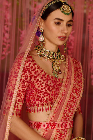 Shyam Narayan Prasad-Multicolor Pink Embroidered Lehenga Set-INDIASPOPUP.COM