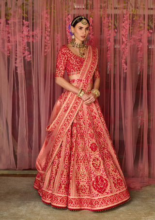 Shyam Narayan Prasad-Multicolor Pink Embroidered Lehenga Set-INDIASPOPUP.COM