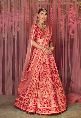 Shyam Narayan Prasad-Multicolor Pink Embroidered Lehenga Set-INDIASPOPUP.COM