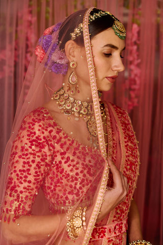 Shyam Narayan Prasad-Multicolor Pink Embroidered Lehenga Set-INDIASPOPUP.COM