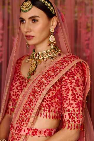 Shyam Narayan Prasad-Multicolor Pink Embroidered Lehenga Set-INDIASPOPUP.COM