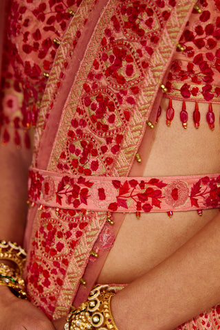 Shyam Narayan Prasad-Multicolor Pink Embroidered Lehenga Set-INDIASPOPUP.COM
