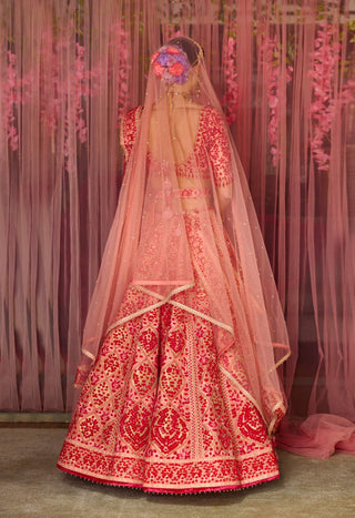 Shyam Narayan Prasad-Multicolor Pink Embroidered Lehenga Set-INDIASPOPUP.COM