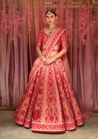 Shyam Narayan Prasad-Multicolor Pink Embroidered Lehenga Set-INDIASPOPUP.COM