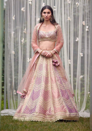 Shyam Narayan Prasad-Neutral Pink Embroidered Lehenga Set-INDIASPOPUP.COM