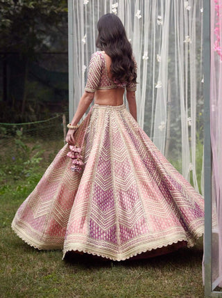 Shyam Narayan Prasad-Neutral Pink Embroidered Lehenga Set-INDIASPOPUP.COM