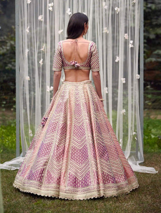 Shyam Narayan Prasad-Neutral Pink Embroidered Lehenga Set-INDIASPOPUP.COM