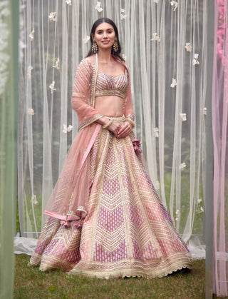 Shyam Narayan Prasad-Neutral Pink Embroidered Lehenga Set-INDIASPOPUP.COM