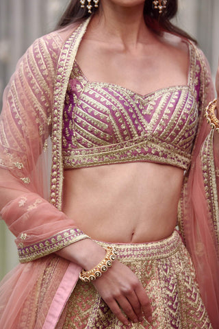 Shyam Narayan Prasad-Neutral Pink Embroidered Lehenga Set-INDIASPOPUP.COM