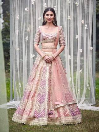 Shyam Narayan Prasad-Neutral Pink Embroidered Lehenga Set-INDIASPOPUP.COM