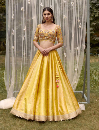 Shyam Narayan Prasad-Mustard Embroidered Lehenga Set-INDIASPOPUP.COM