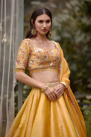 Shyam Narayan Prasad-Mustard Embroidered Lehenga Set-INDIASPOPUP.COM