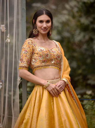 Shyam Narayan Prasad-Mustard Embroidered Lehenga Set-INDIASPOPUP.COM