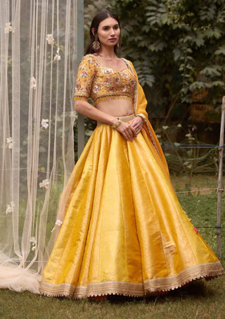 Shyam Narayan Prasad-Mustard Embroidered Lehenga Set-INDIASPOPUP.COM