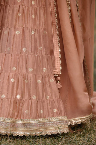 Shyam Narayan Prasad-Neutral Pink Embroidered Lehenga Set-INDIASPOPUP.COM