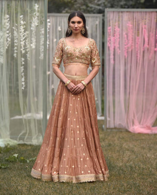 Shyam Narayan Prasad-Neutral Pink Embroidered Lehenga Set-INDIASPOPUP.COM