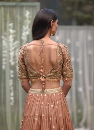 Shyam Narayan Prasad-Neutral Pink Embroidered Lehenga Set-INDIASPOPUP.COM